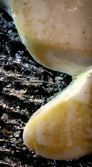 Achitecture Series = (detail) art
